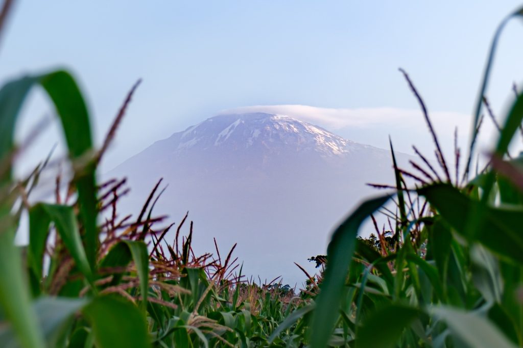 Mount Kilimanjaro