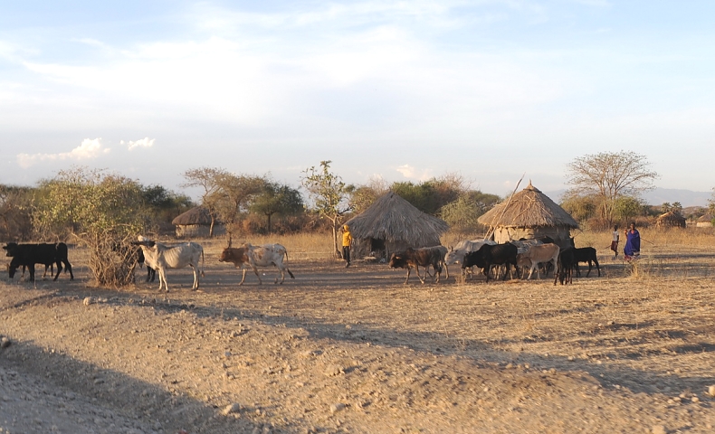 Maasai_Boma_Visits_02_790_480shar-50brig-20_c1_c_t