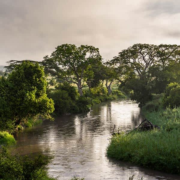 further-reading-grumeti-game-reserve