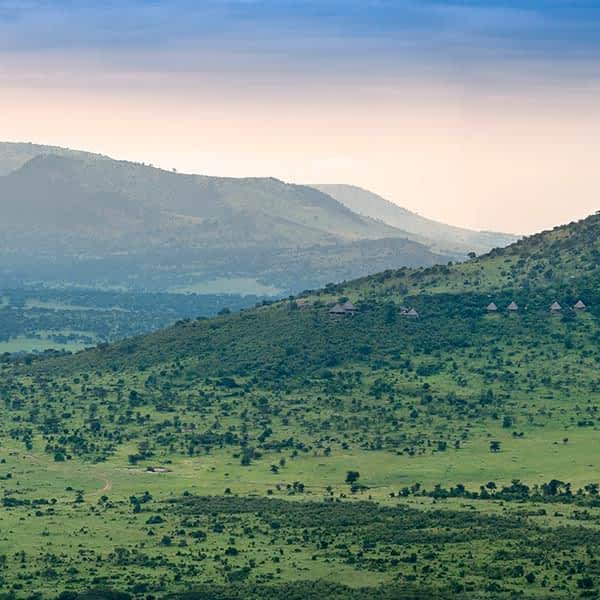 further-reading-northern-serengeti-lobo