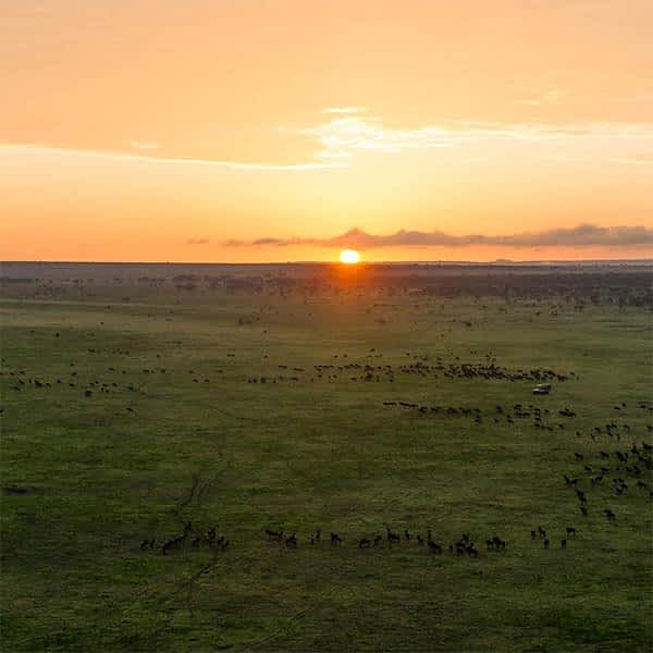 further-reading-southeastern-plains-ndutu-safari-area (1)