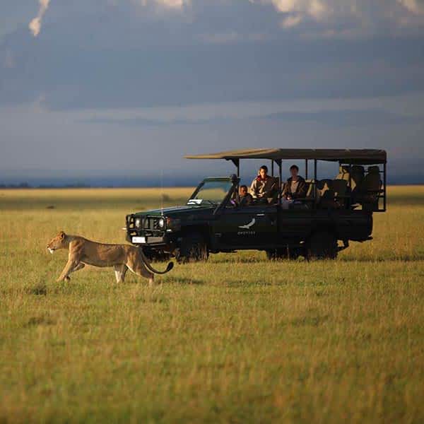 grumeti-game-reserve-serengeti-tanzania