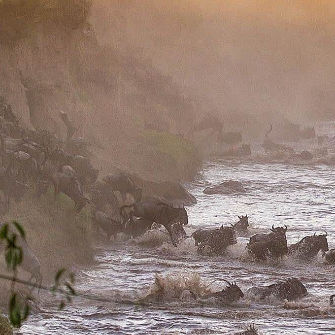 serengeti-great-migration-river-crossing-small