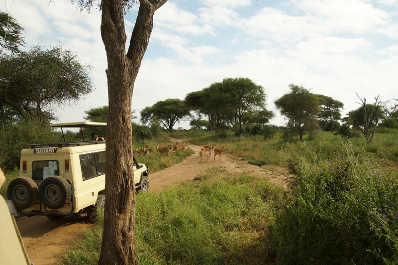 tarangire-national-park