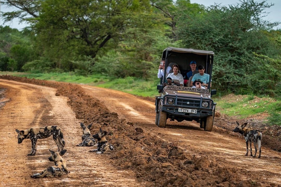 nyerere_national_park-20231203-0009