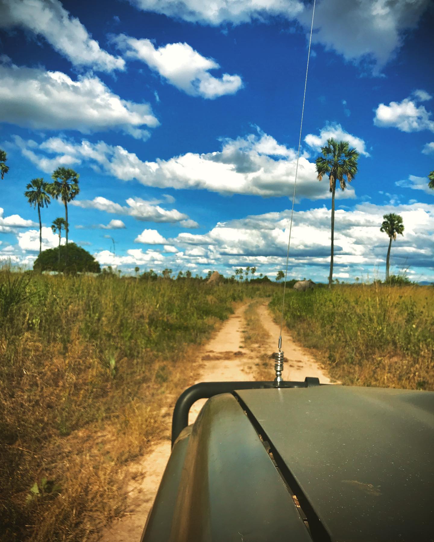 ruaha_national_park-20231203-0011