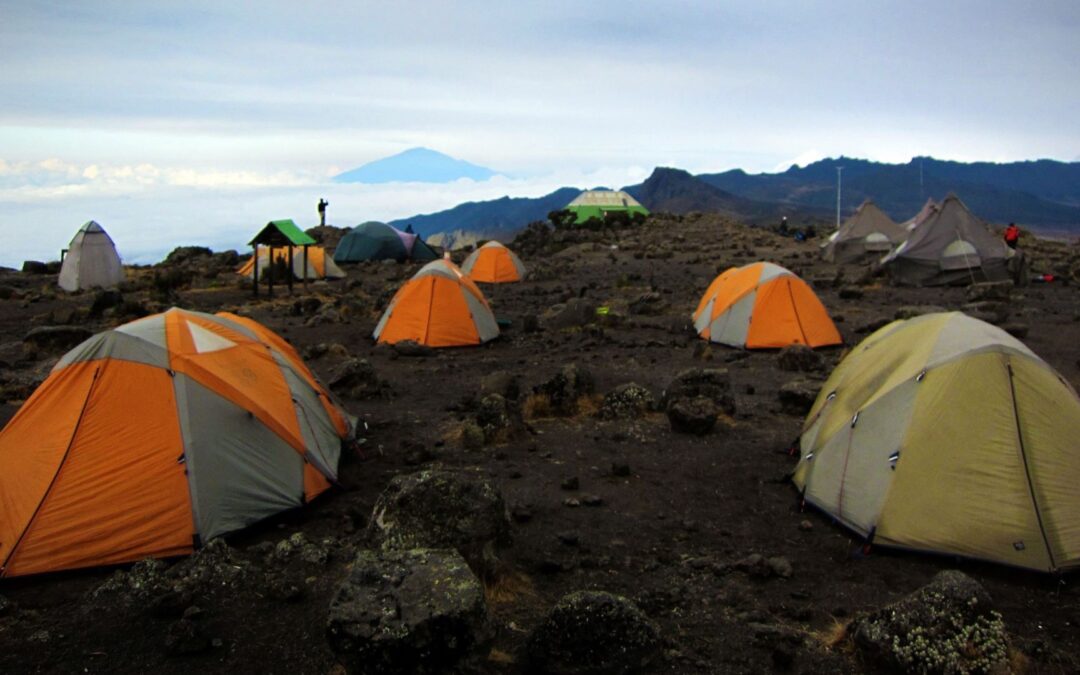 Lemosho Route Trekking, 8 Days