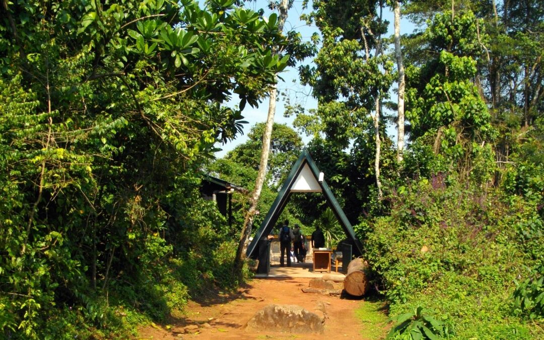 Marangu Route Trekking, 6 Days