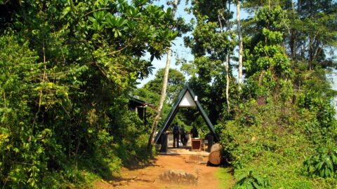 Marangu Route Trekking, 6 Days