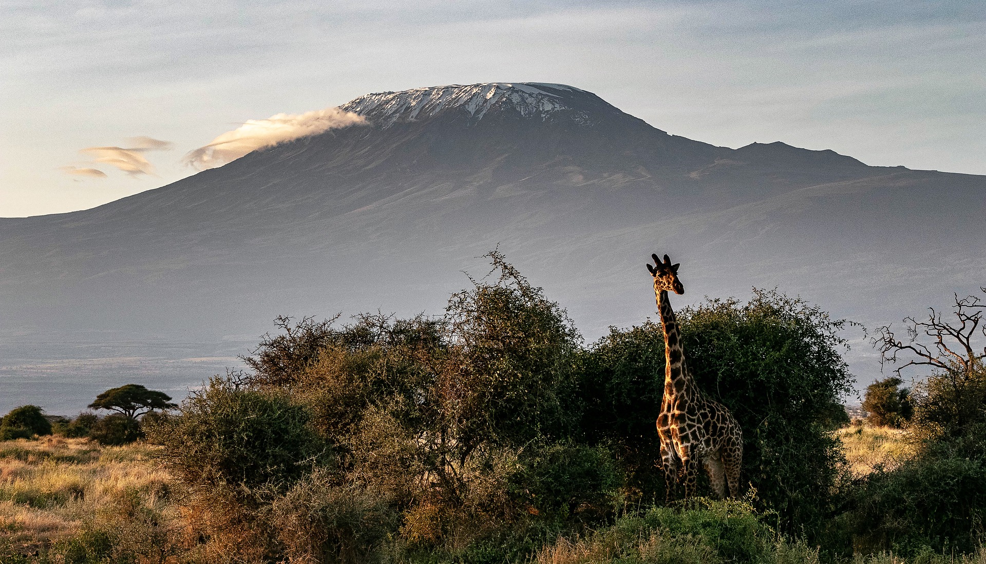 Kilimanjaro National Park Wildlife Kilimanjaro National Park Wildlife
