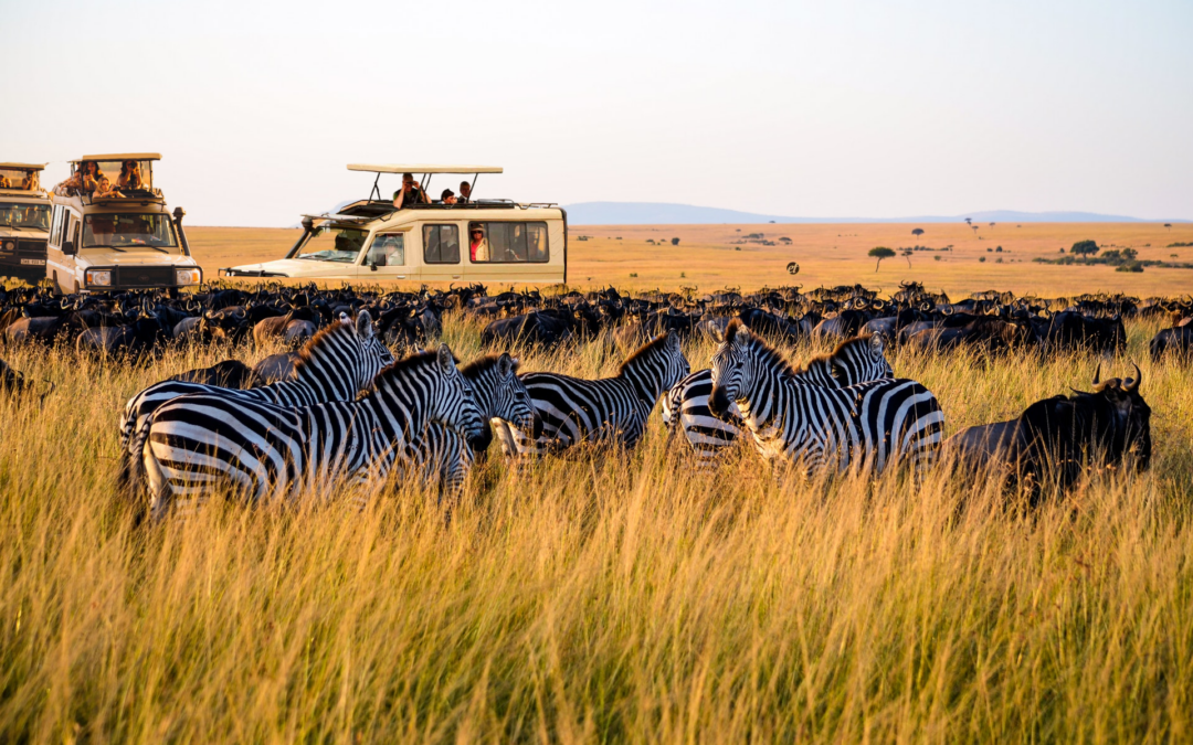 Tanzania Ultimate Safari Adventure, 8 Days