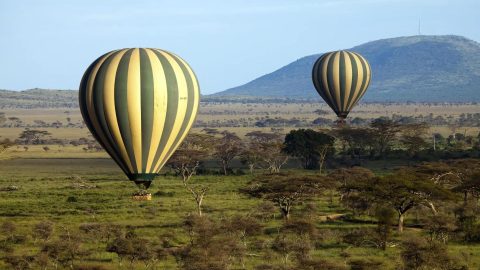 Serengeti Balloon Safaris