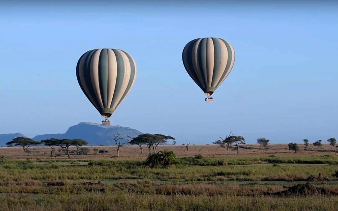 Flying Odyssey Hot Air Balloon Safaris