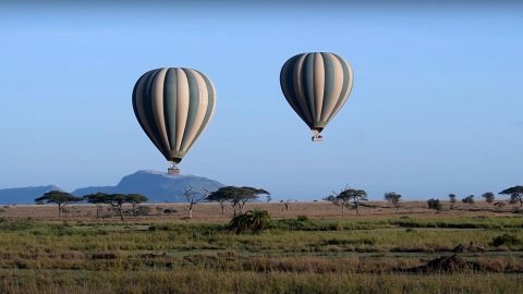 Flying Odyssey Hot Air Balloon Safaris