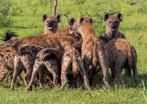 nyerere_national_park-20231203-0021